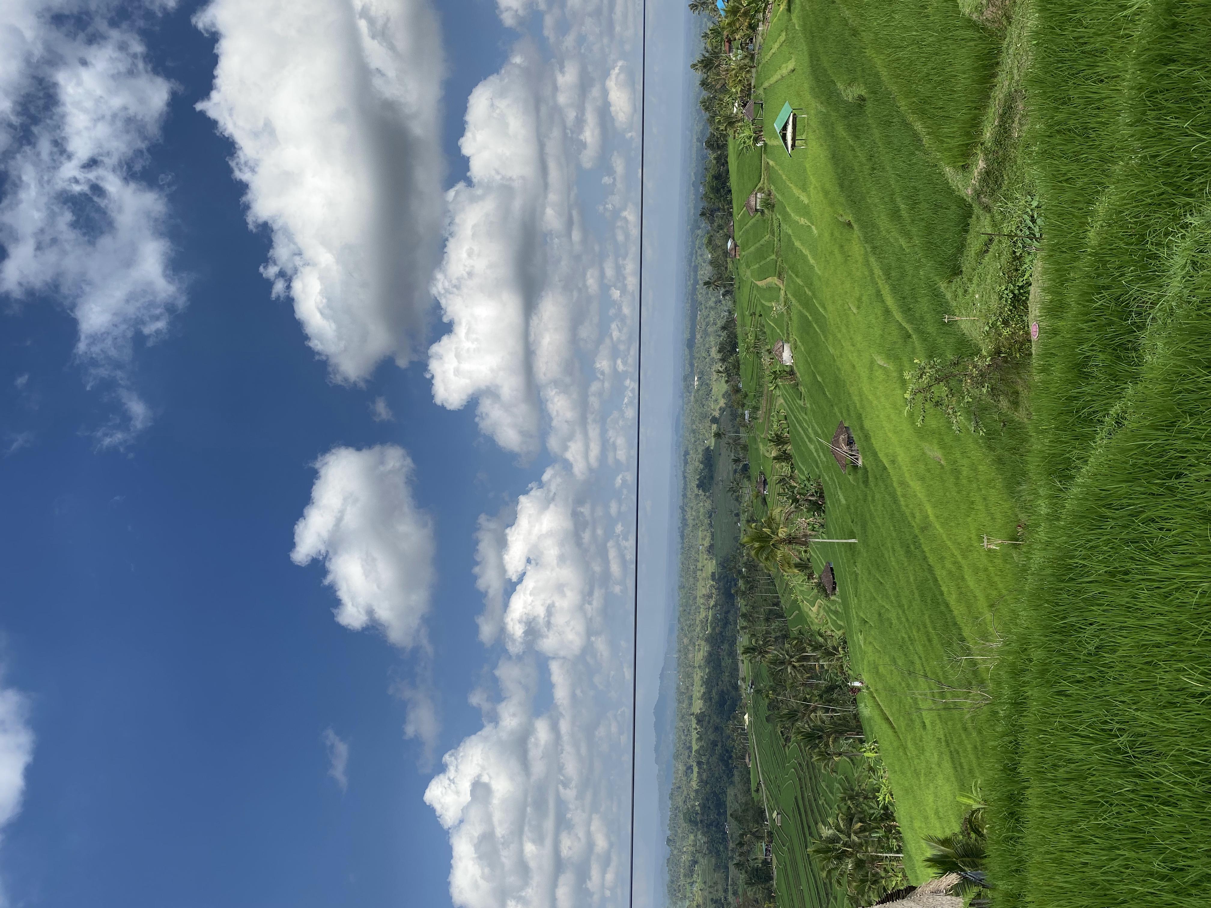 Jatiluwih Rice Terraces Fullday Tour baliwonderstour